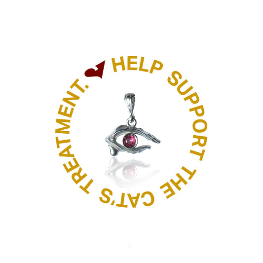 925 Silver SZ-Eye Charm