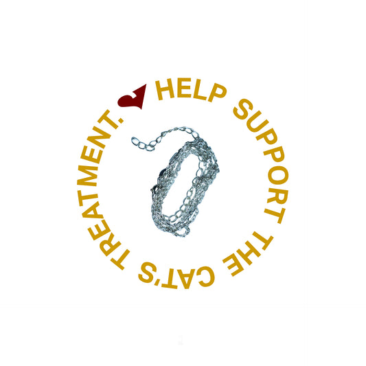 925 Silver Chain 45+5 CM